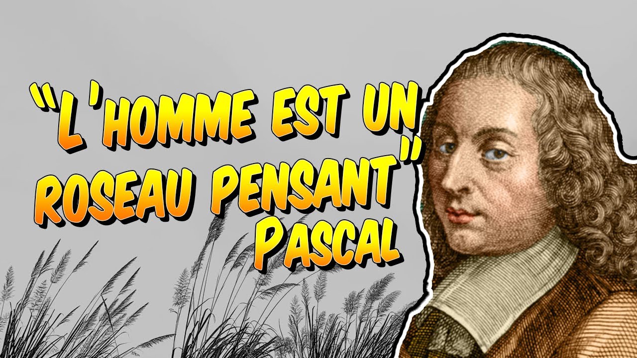 Philosophie - Pascal « L'homme est un roseau pensant » explication de citation
