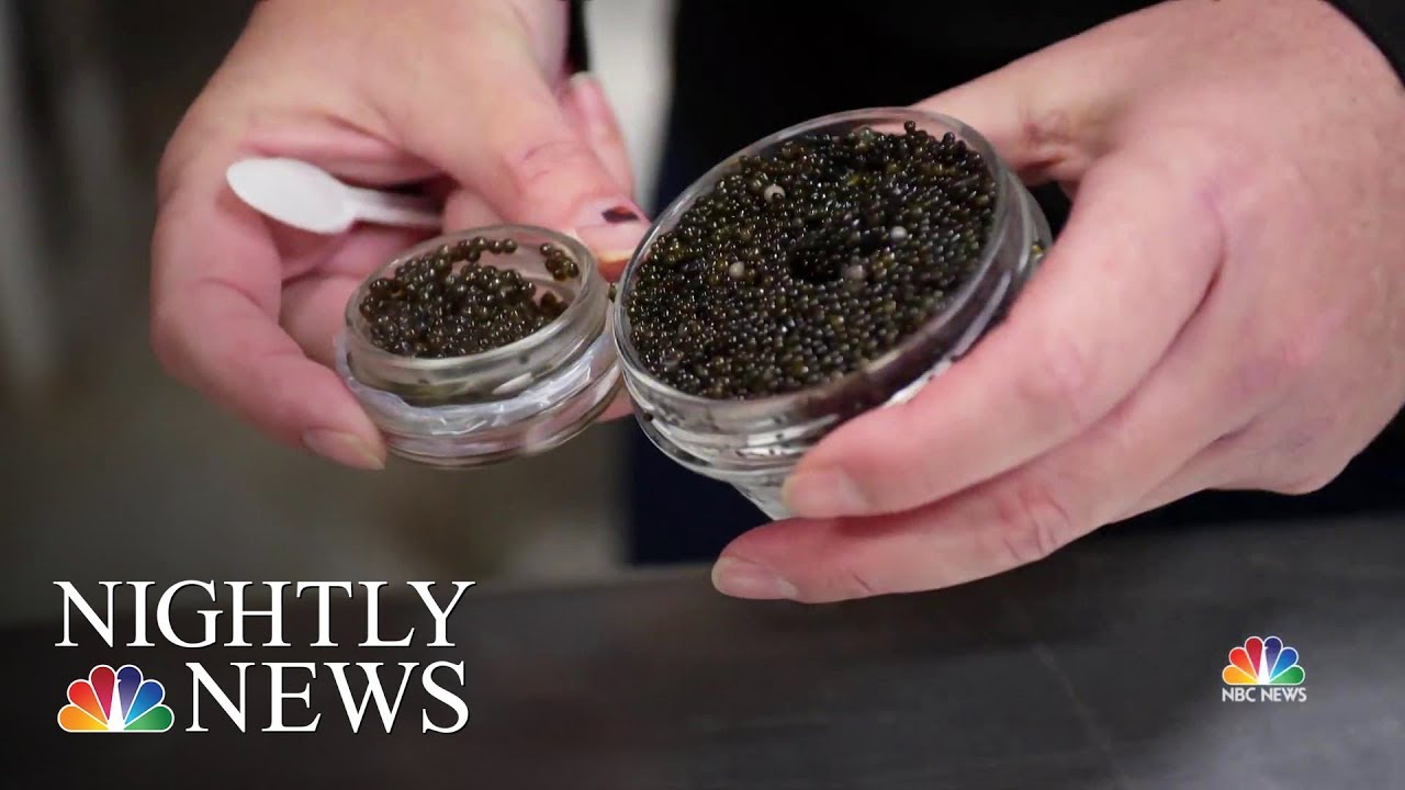 Where to find &lsquo;America&rsquo;s Best Caviar?&rsquo; Try Kentucky. | NBC Nightly News