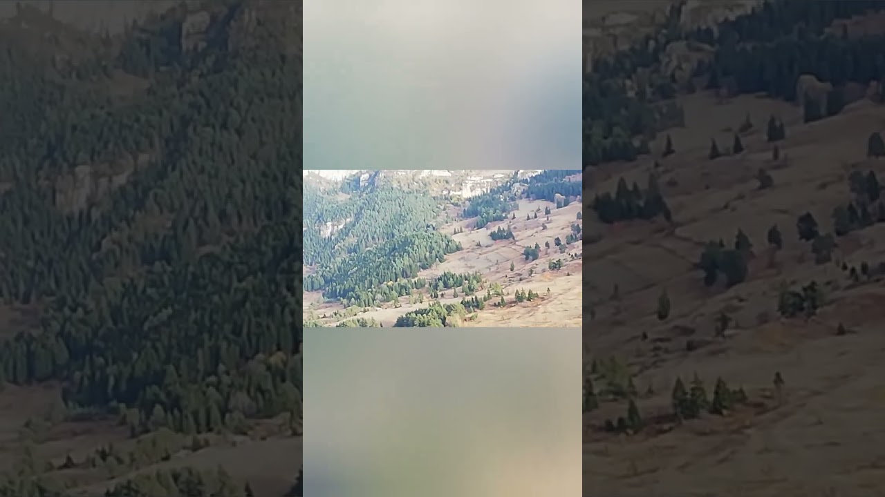 2023 Bice, sakılde gezisinden görüntüler