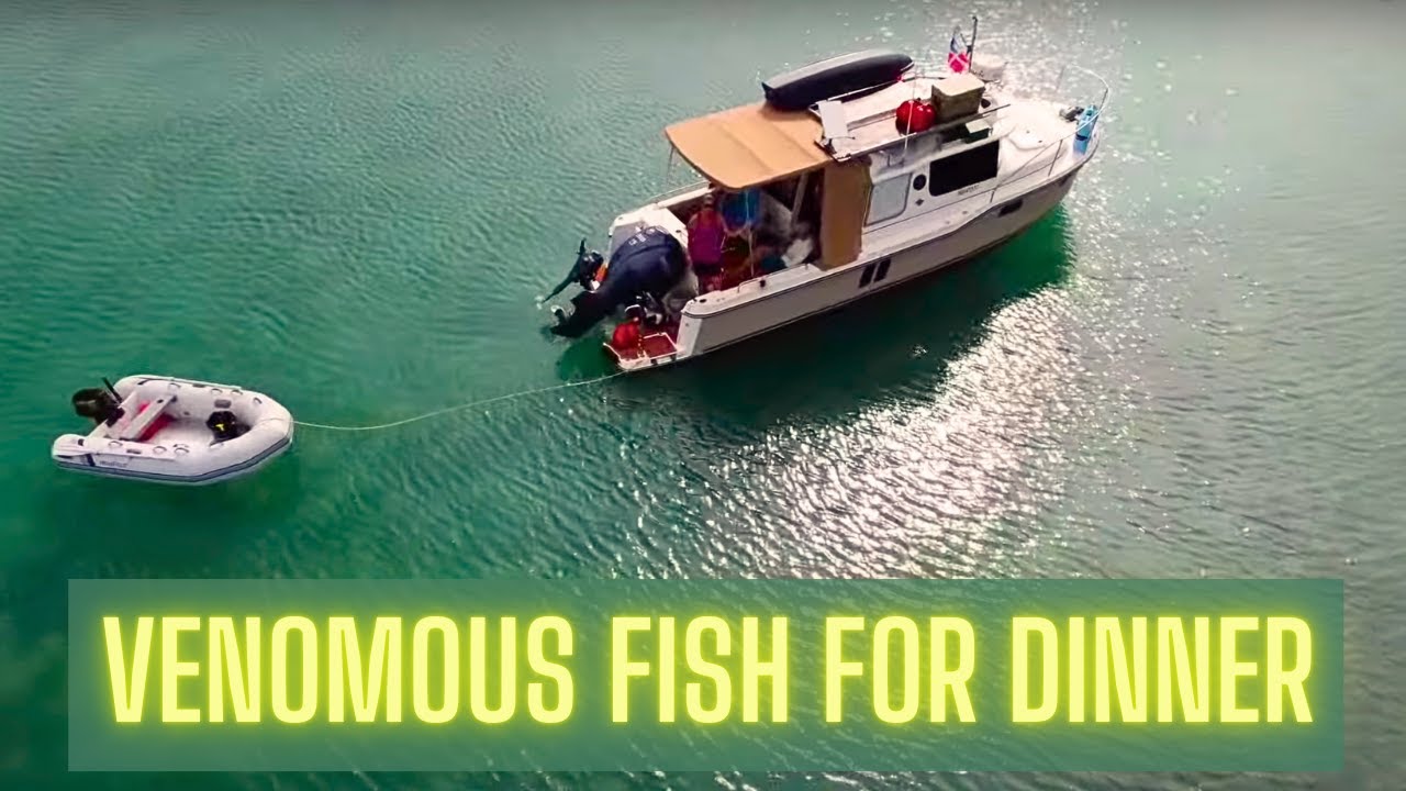 VENOMOUS FISH AND DINGY PROBLEMS -  Tiny Boat Living on our Ranger Tug R25 - Ep 65