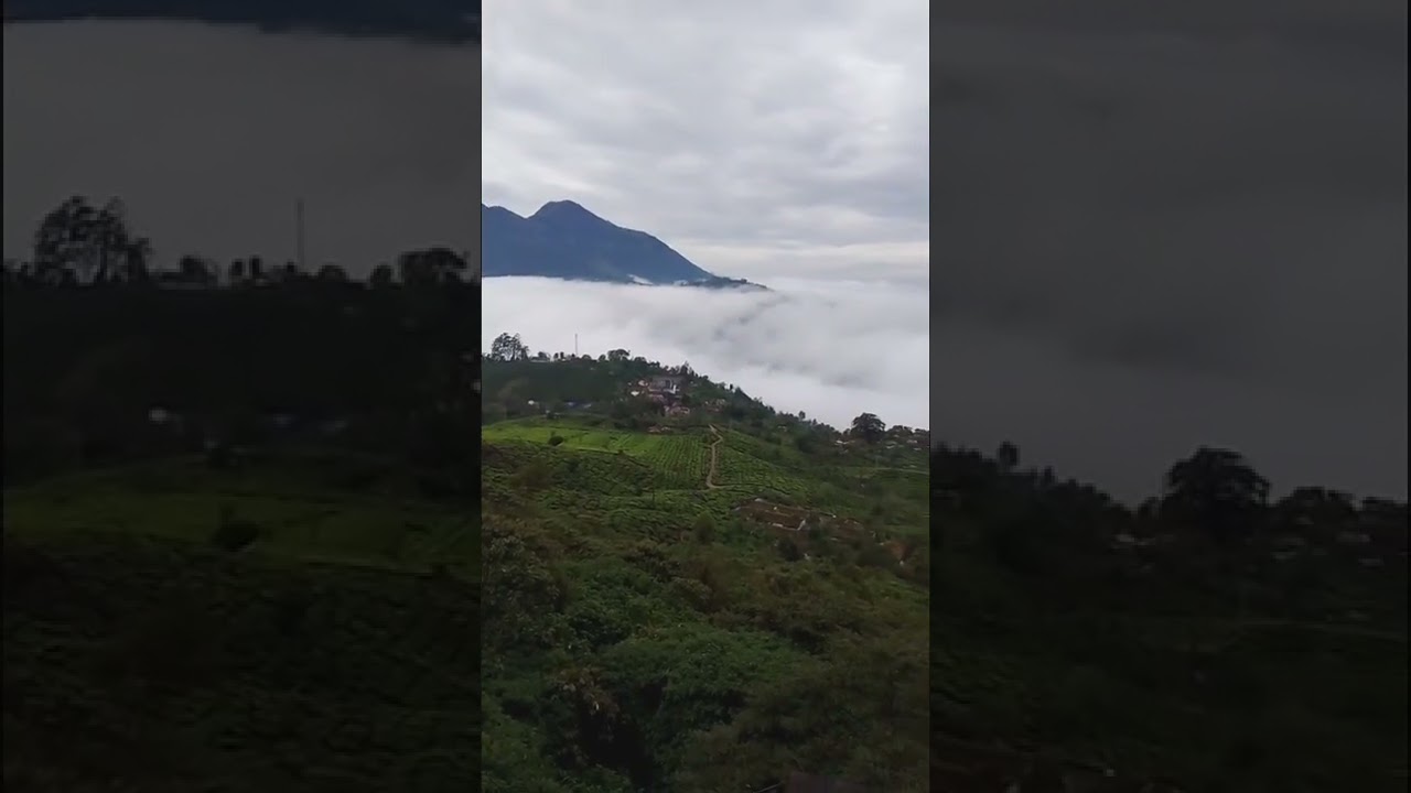 Kerala munnar WhatsApp status Kerala munnar munnar tursti place tursti place munnar Kerala