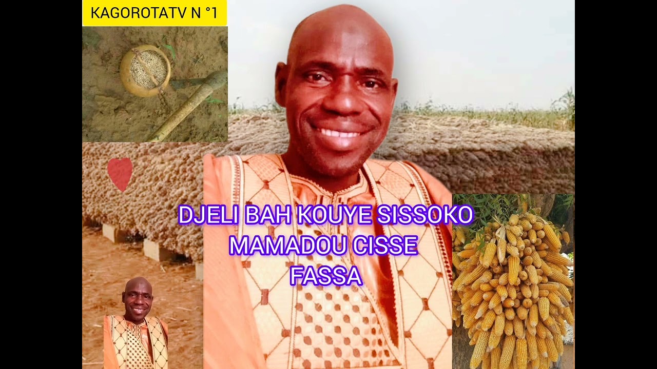 DJELI BAH KOUYE SISSOKO MAMADOU CISSE, FASSA 