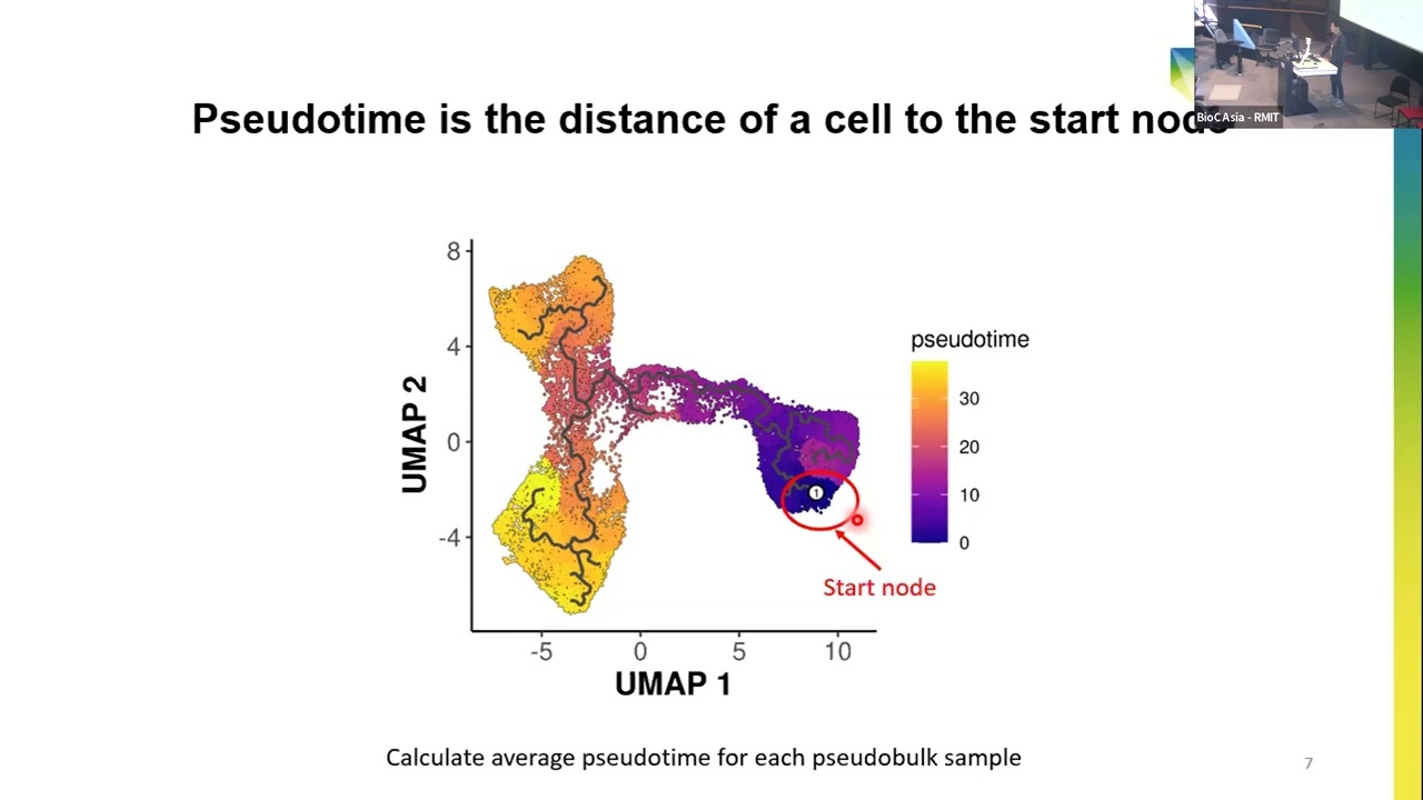 Timecourse Analysis of Single Cell RNA Data Utilising Bioconductor Software
