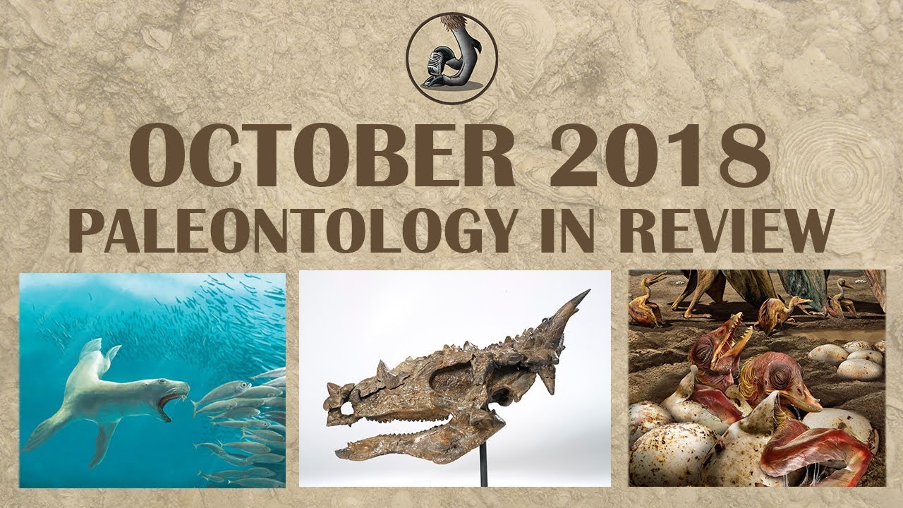 New Dinosaurs and Finds of October