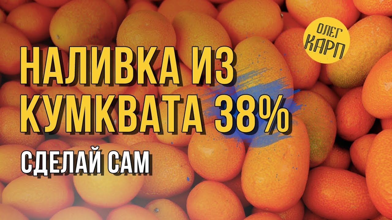 КУМКВАТ ПОДЕШЕВЕЛ.  Срочно делаем Суперский Напиток 38%.  Рецепт. // Олег Карп