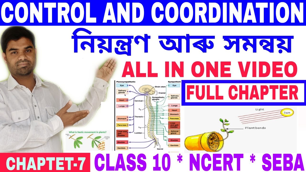 Ch-7 ll নিয়ন্ত্ৰণ আৰু সমন্বয় ll Full Chapter ll  Class 10  Science ll By Science Guru Assam ll
