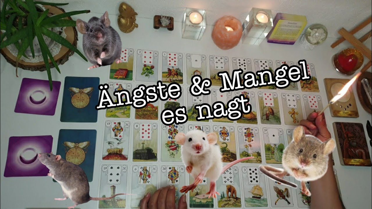 Die Entscheidung.Der Weg des Herzens vS. der Weg des Ego's. Darum knabbern die Mäuse🐁#seelenpartner