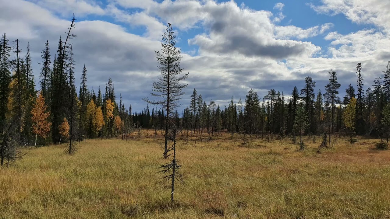 Nyt kodista laulun mä laulan, SL 262