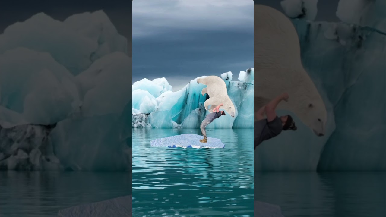 How to survive a polar bear attack