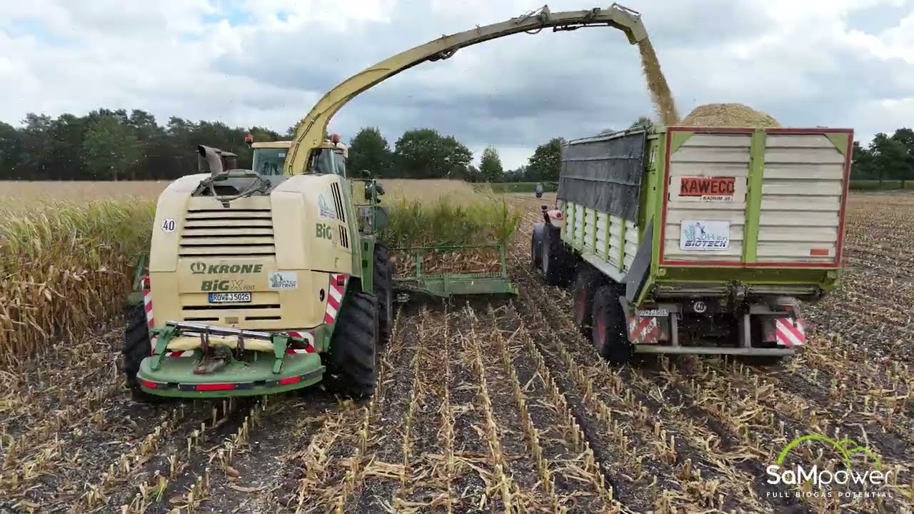 Maisernte bei der Pape Gruppe in Elsdorf | SaMpower GmbH & Barrierefolie V12 Silver Cover