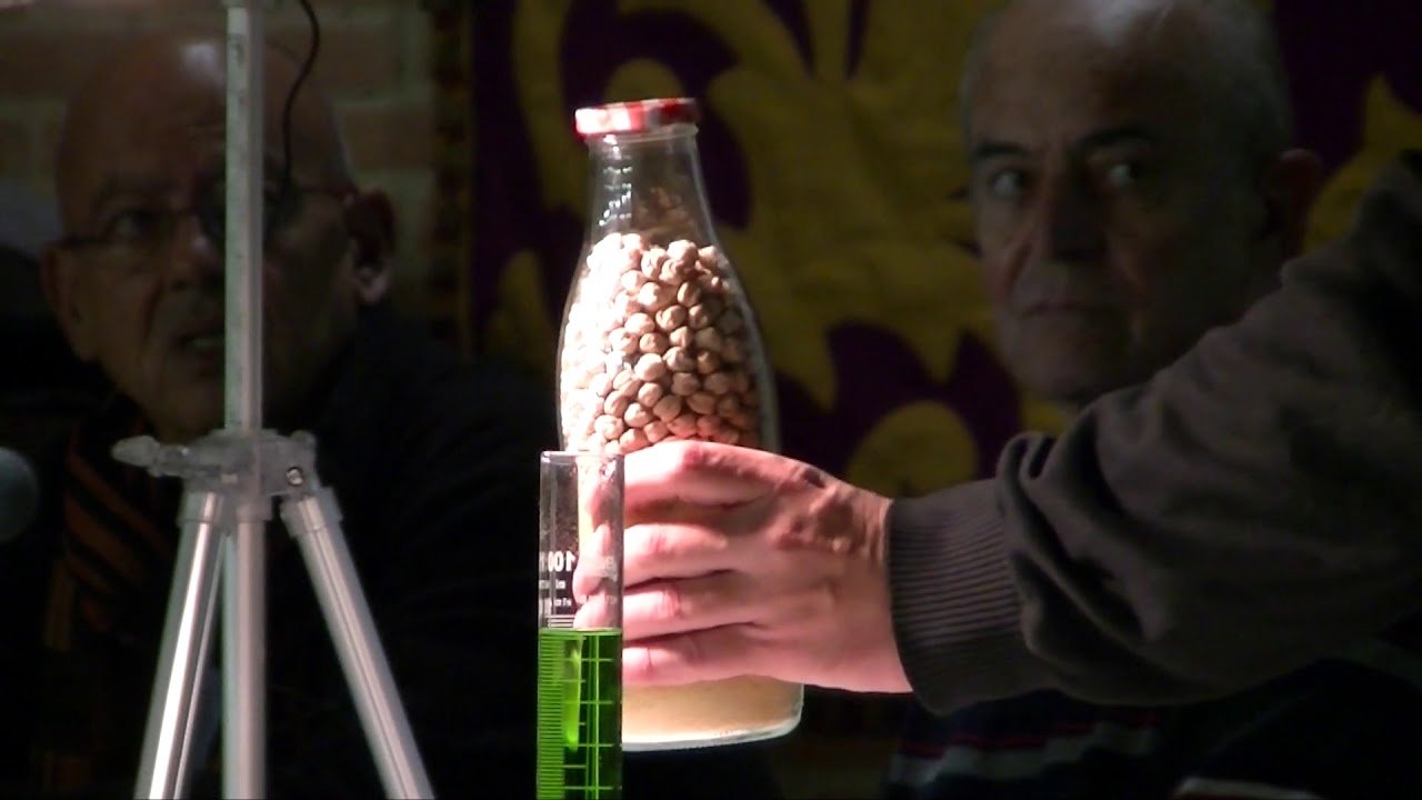 XIII Reunión de Divulgadores de Ciencia - Tercera parte