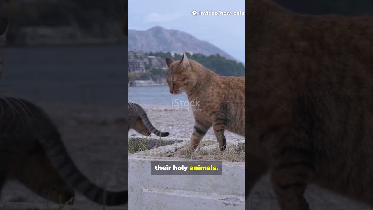 When Cats Won a War: Persia&rsquo;s Strange Battle in Egypt