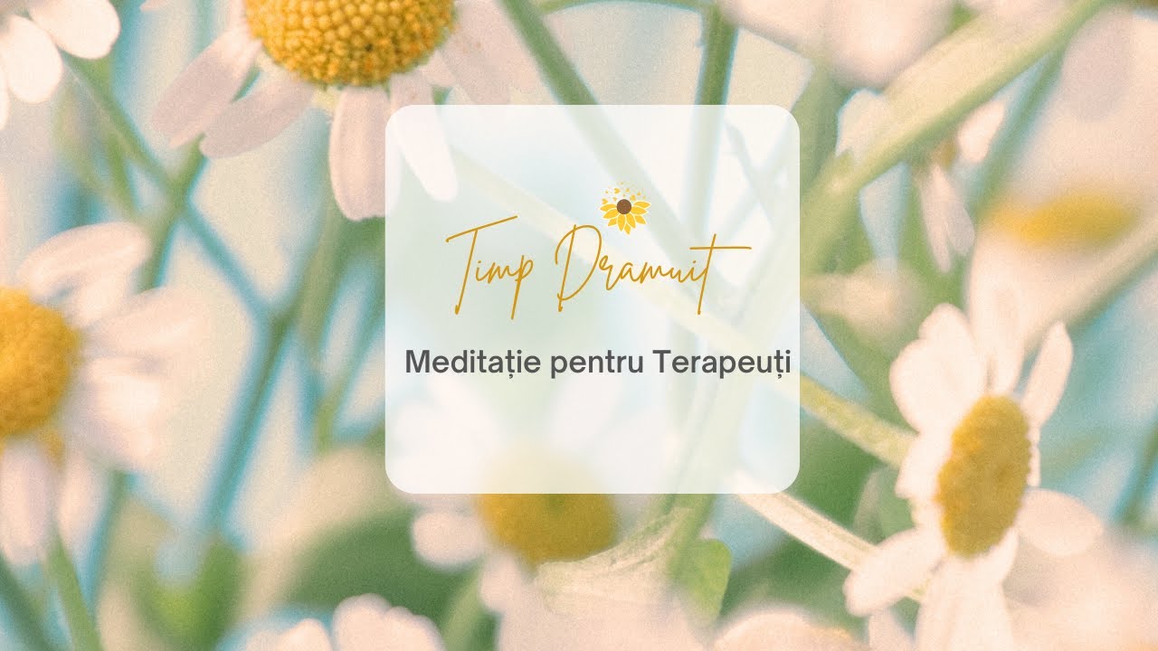 Meditație pentru terapeuți | Timp Drămuit cu IFS (Sistemele Familiale Interne)