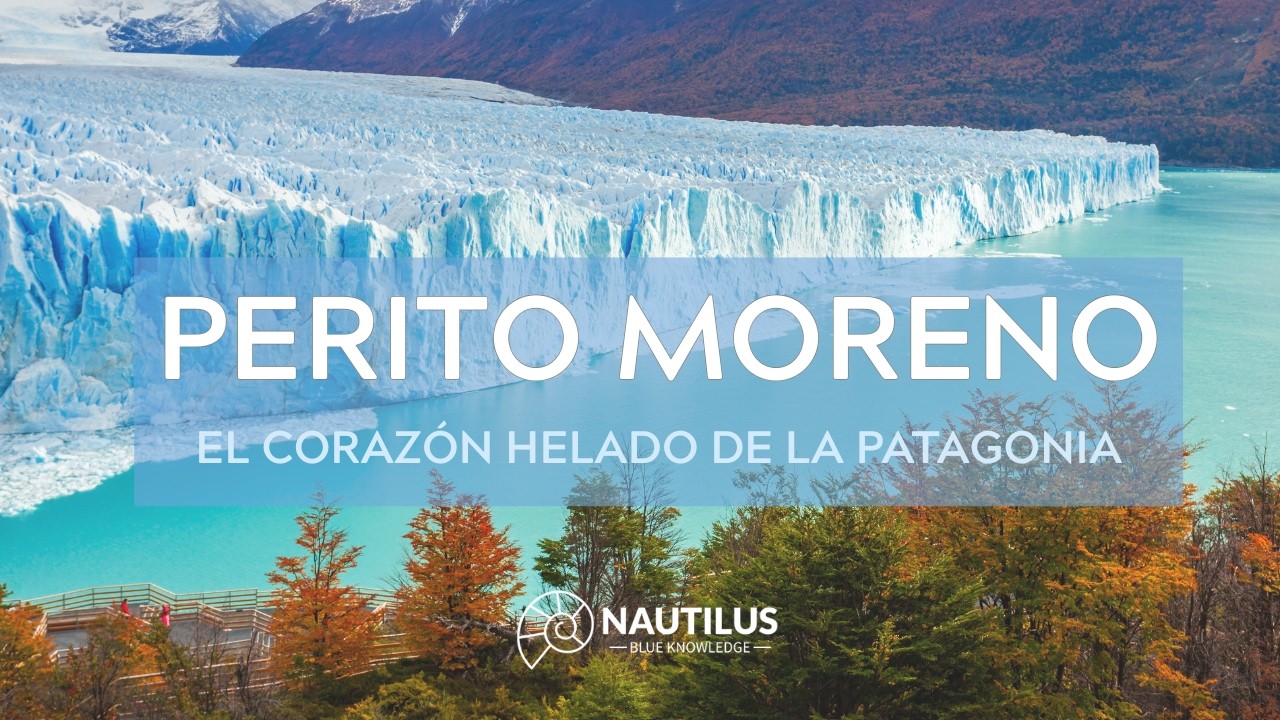 Glaciar Perito Moreno: el hielo que aún avanza