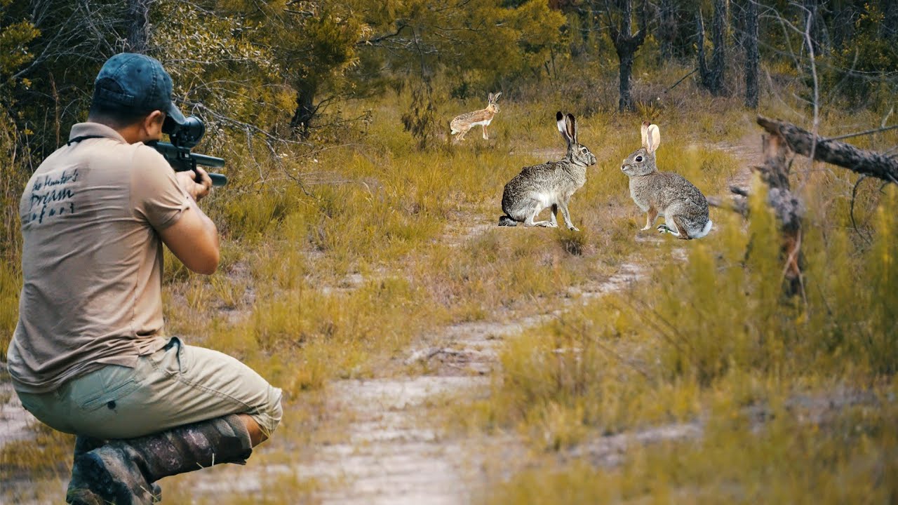 Cazando Conejos Con Rifle de Aire