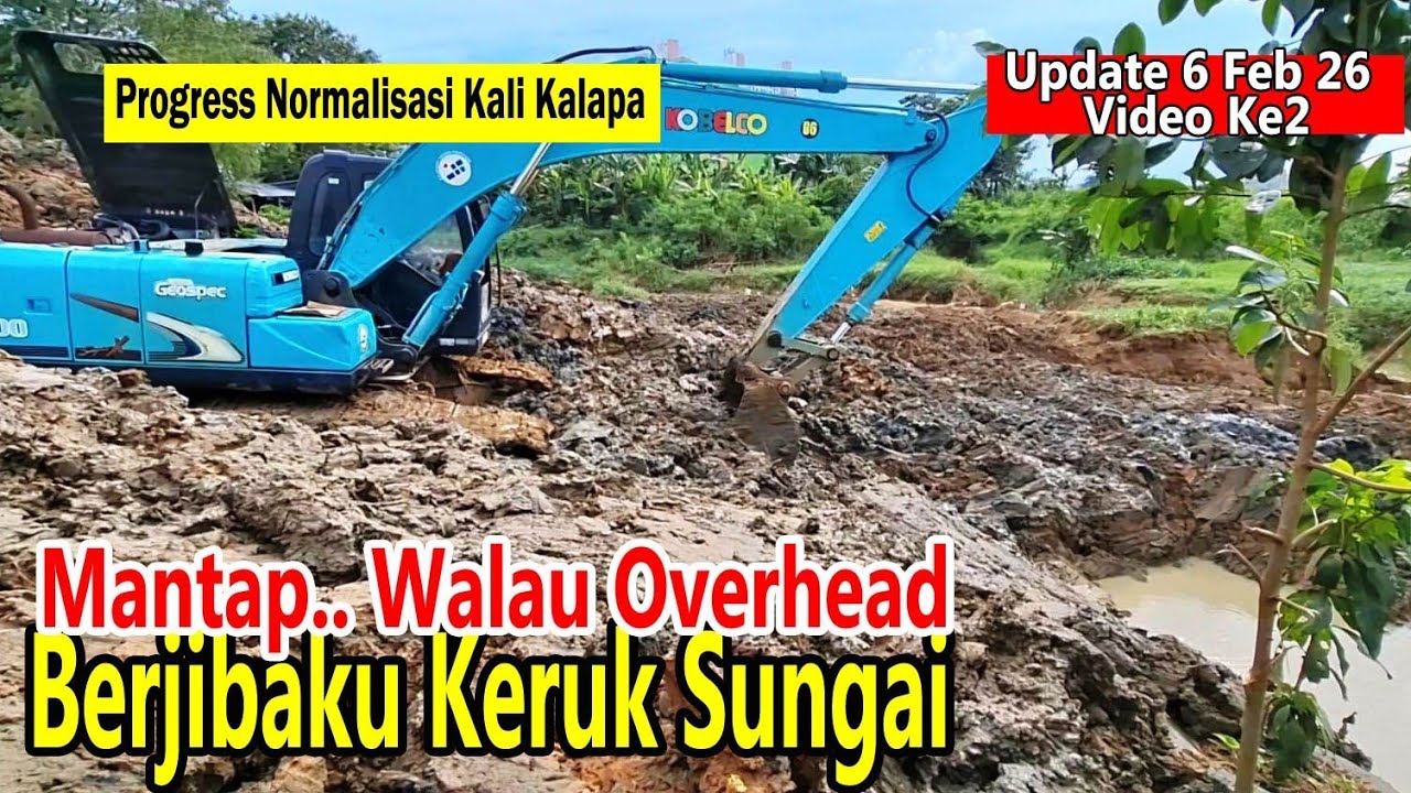 Overhead Exca Berjibaku Keruk Sungai - Penampakan Ular - Biawak - Progress Normalisasi Kali Kalapa
