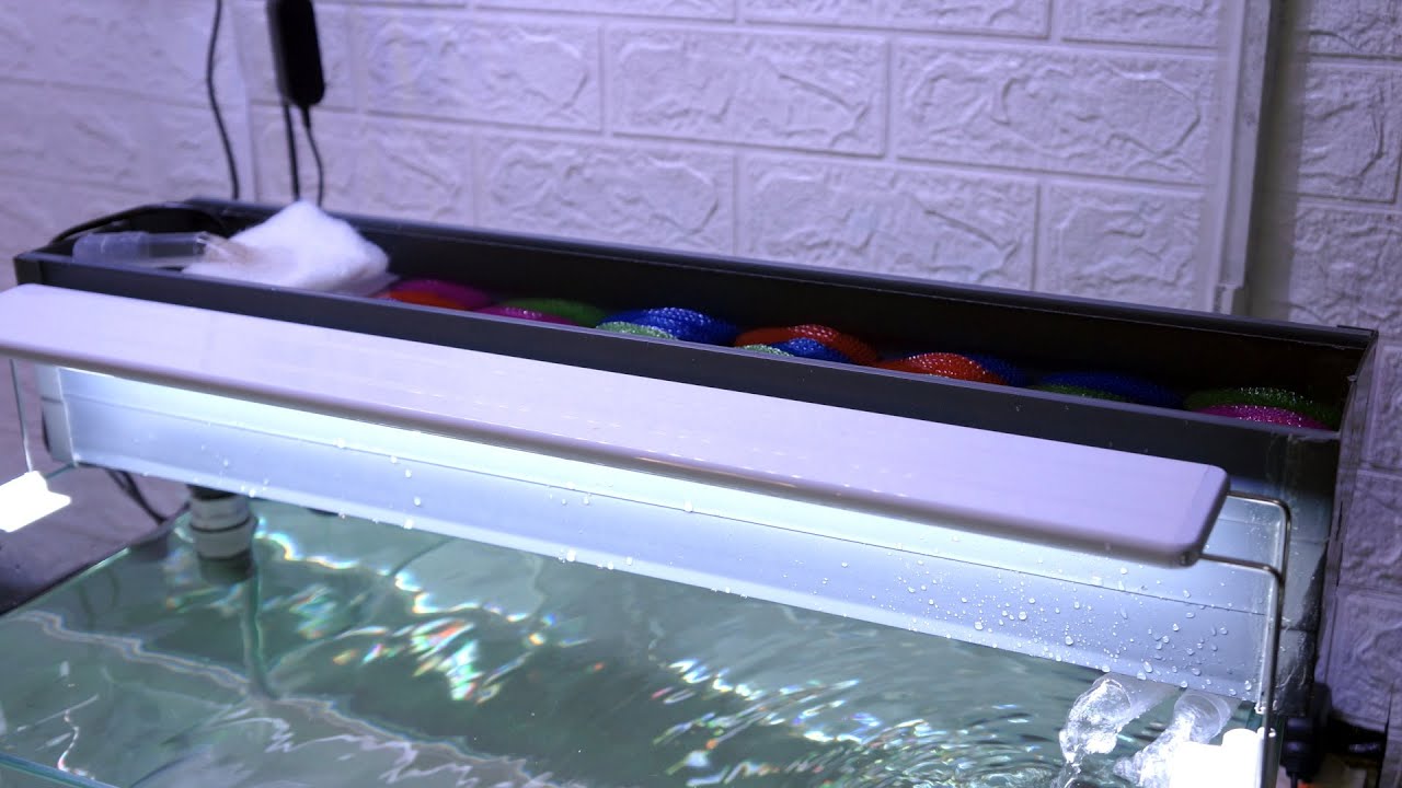 How To Make DIY TOP Filter Aquarium From Water Gutter