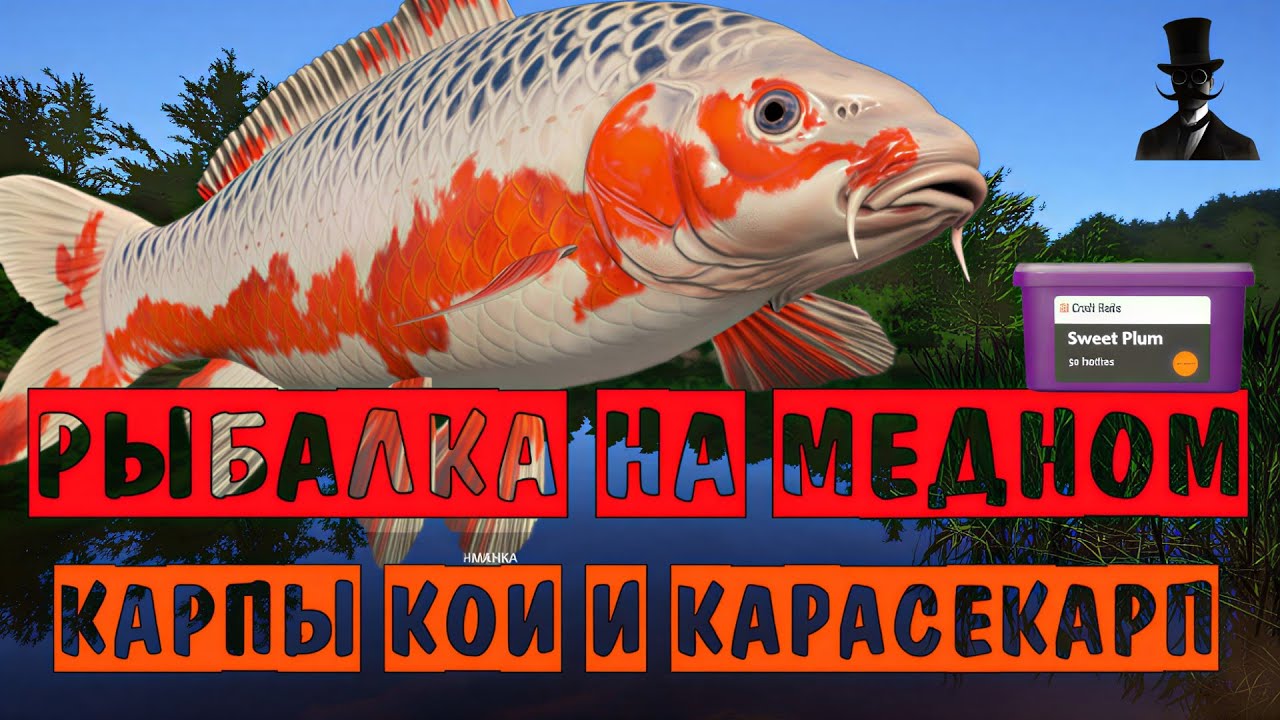 Карпы Кои и Карасекарп. Рыбалка на Медном озере. Русская Рыбалка 4.