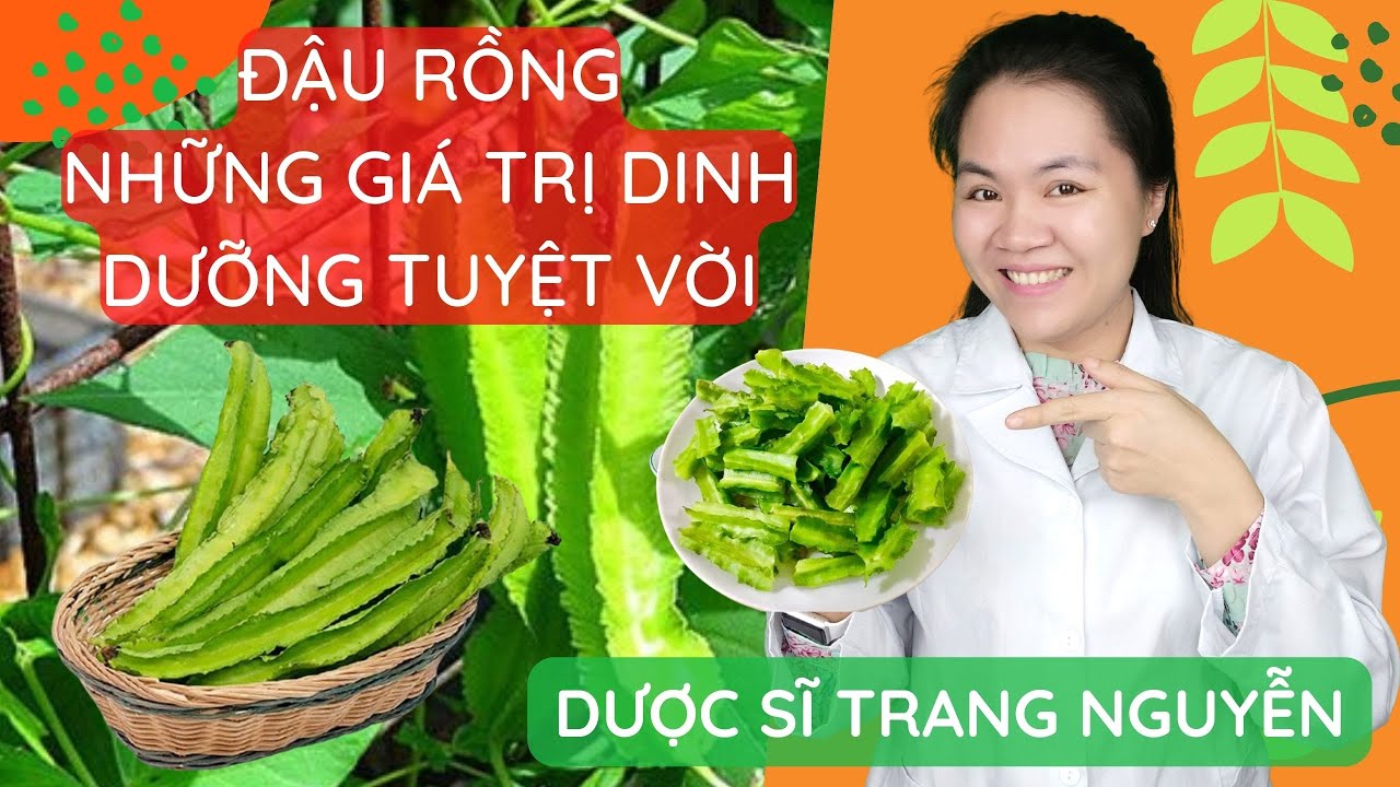 Quả đậu rồng những công dụng dược lý tốt cho sức khỏe