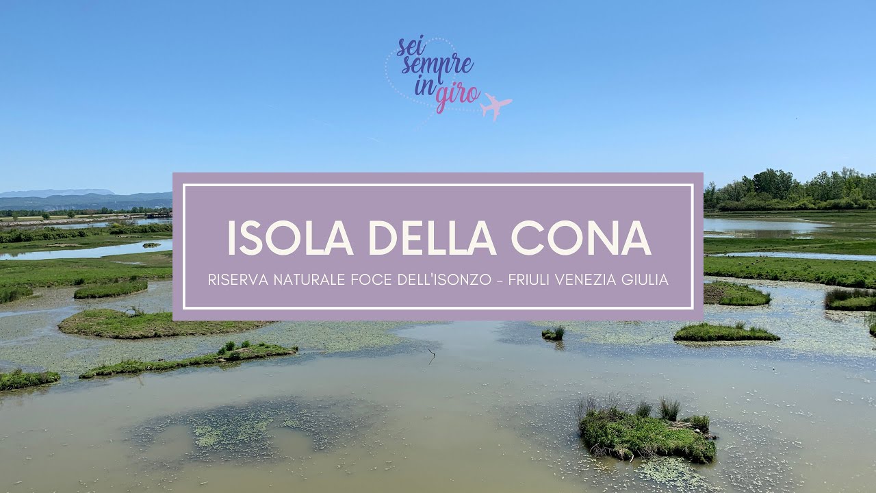 Isola della Cona - Riserva Naturale Foce dell'Isonzo [ Escursioni in FVG ]
