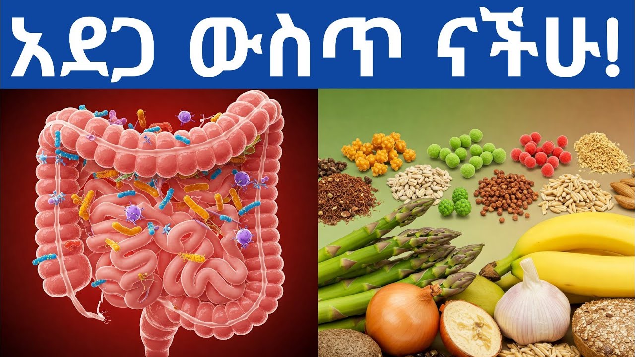 የአንጀታችን ባክቴሪያዎችን የሚጎዱ 8 ነገሮች| የአንጀት ቸግሮች| የአንጀት ህመም| 8 Surprising Things That Harm Your Gut Bacteria