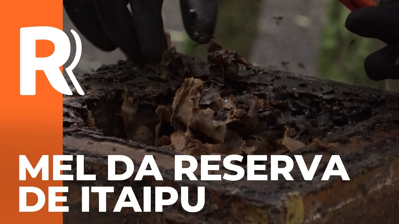 Mel da reserva de Itaipu conquista premiação nacional