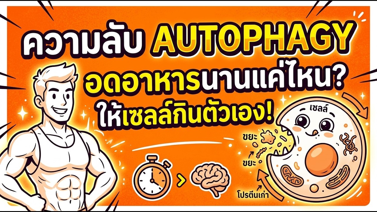 ความลับของ Autophagy ต้องอดอาหารนานแค่ไหนให้เซลล์กินตัวเอง