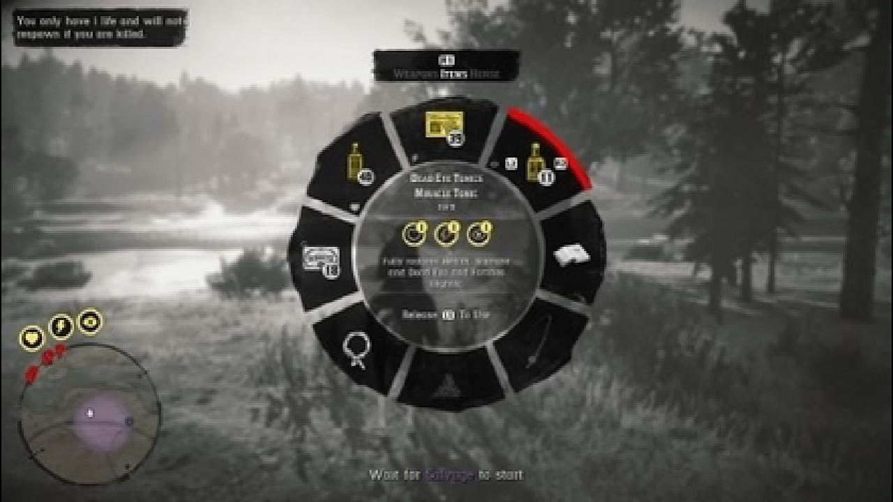 Red Dead Redemption 2_Salvage Event Win Plus Game Play