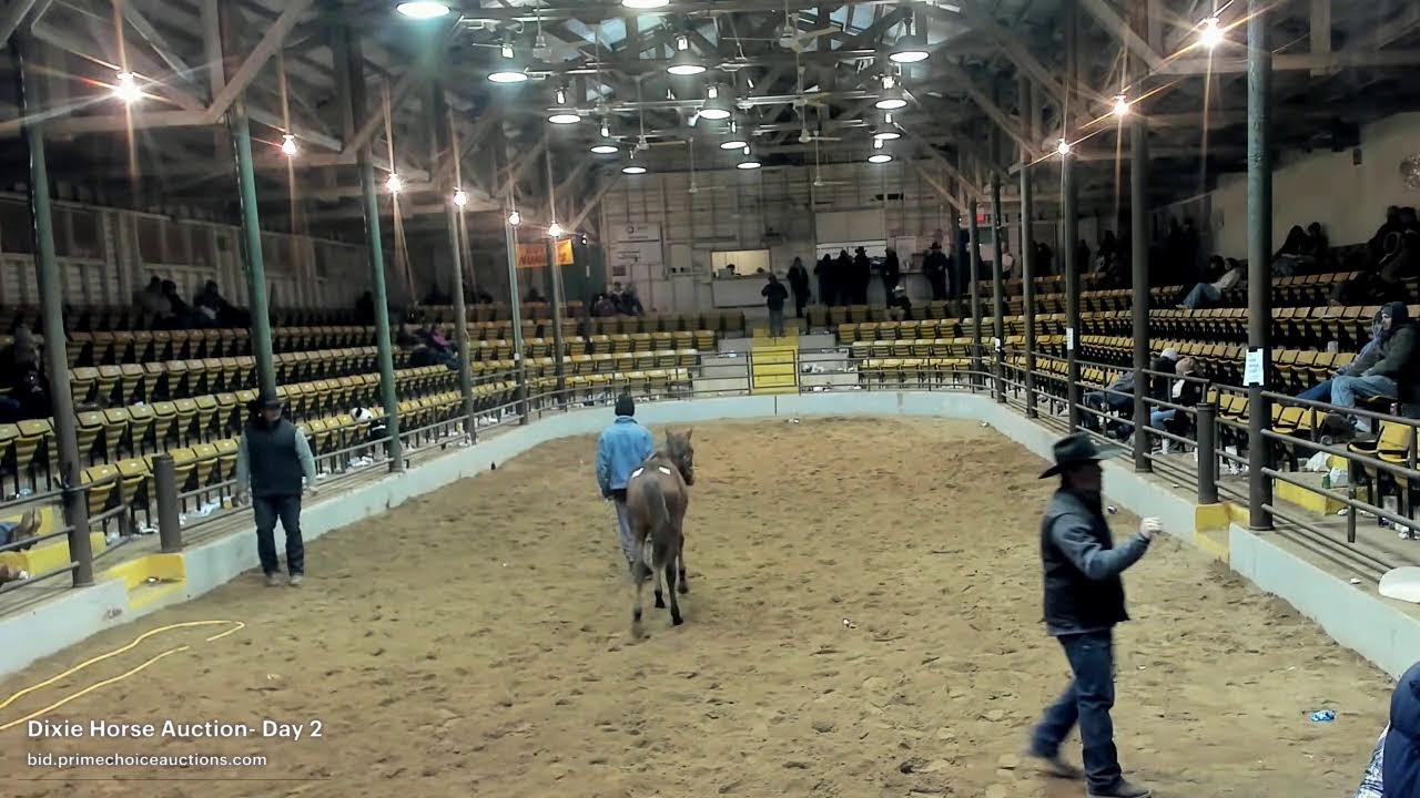 Dixie Horse Auction-Day 2