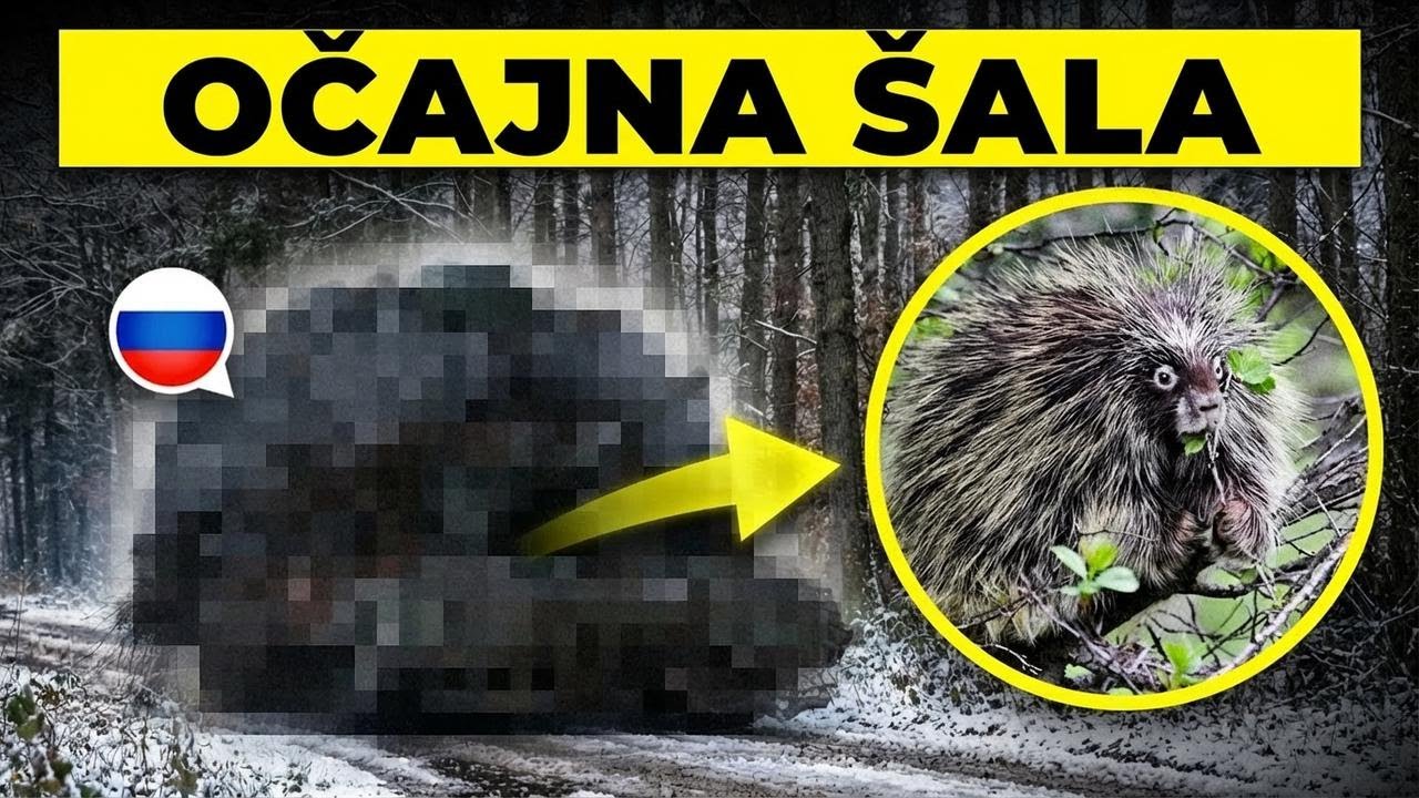 Ruski “Maslačak tenk” – dokaz da Putinova vojska jedva preživljava