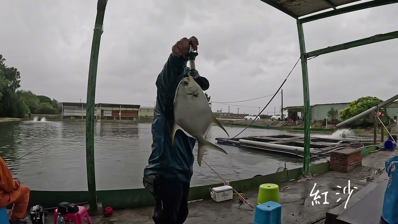 2025 10 24 快樂釣魚🎣趣  暴風雨中 大戰海釣場（晶讚海釣埸）