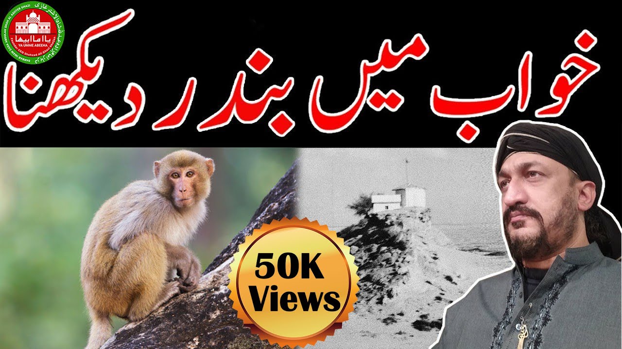Khwab Me Bandar|خواب میں بندر|सपने में बंदर|Monkey|Dream|Sapna|Desi|Dua|Pari|Wazaif|Totkey|Jin|Pari