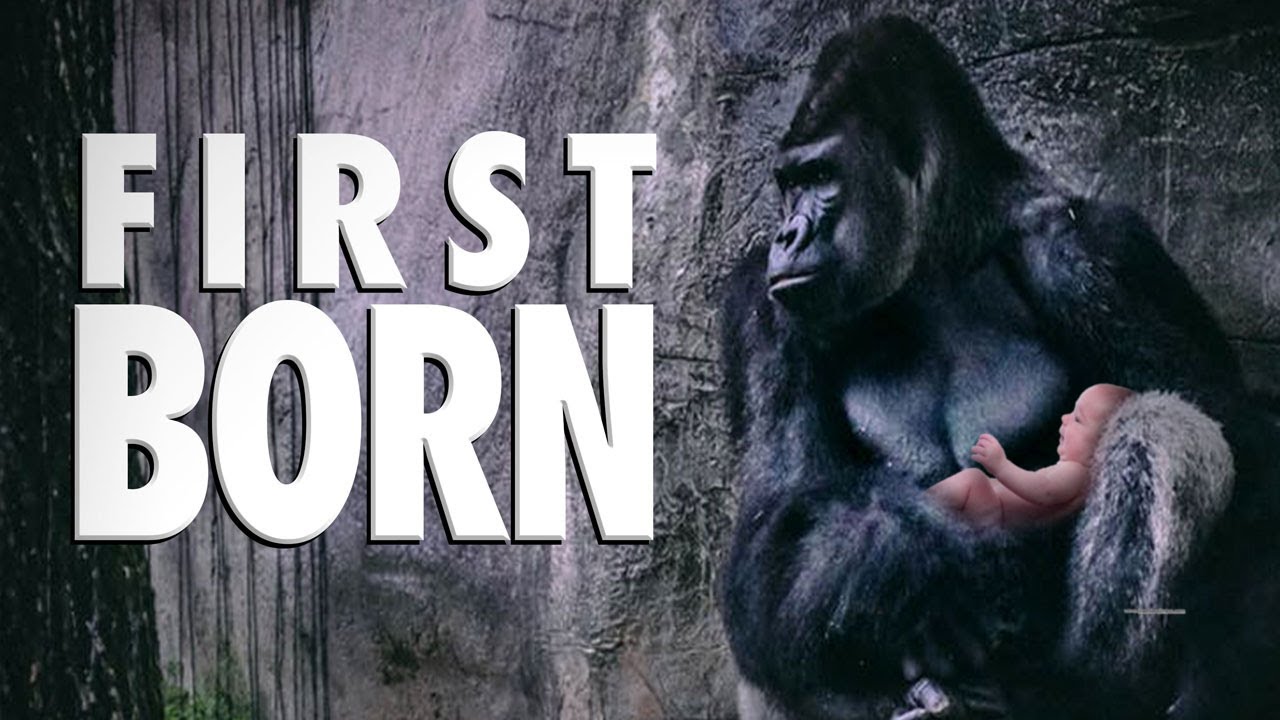 First Born - Main Theme By Hans Zimmer | BBC One