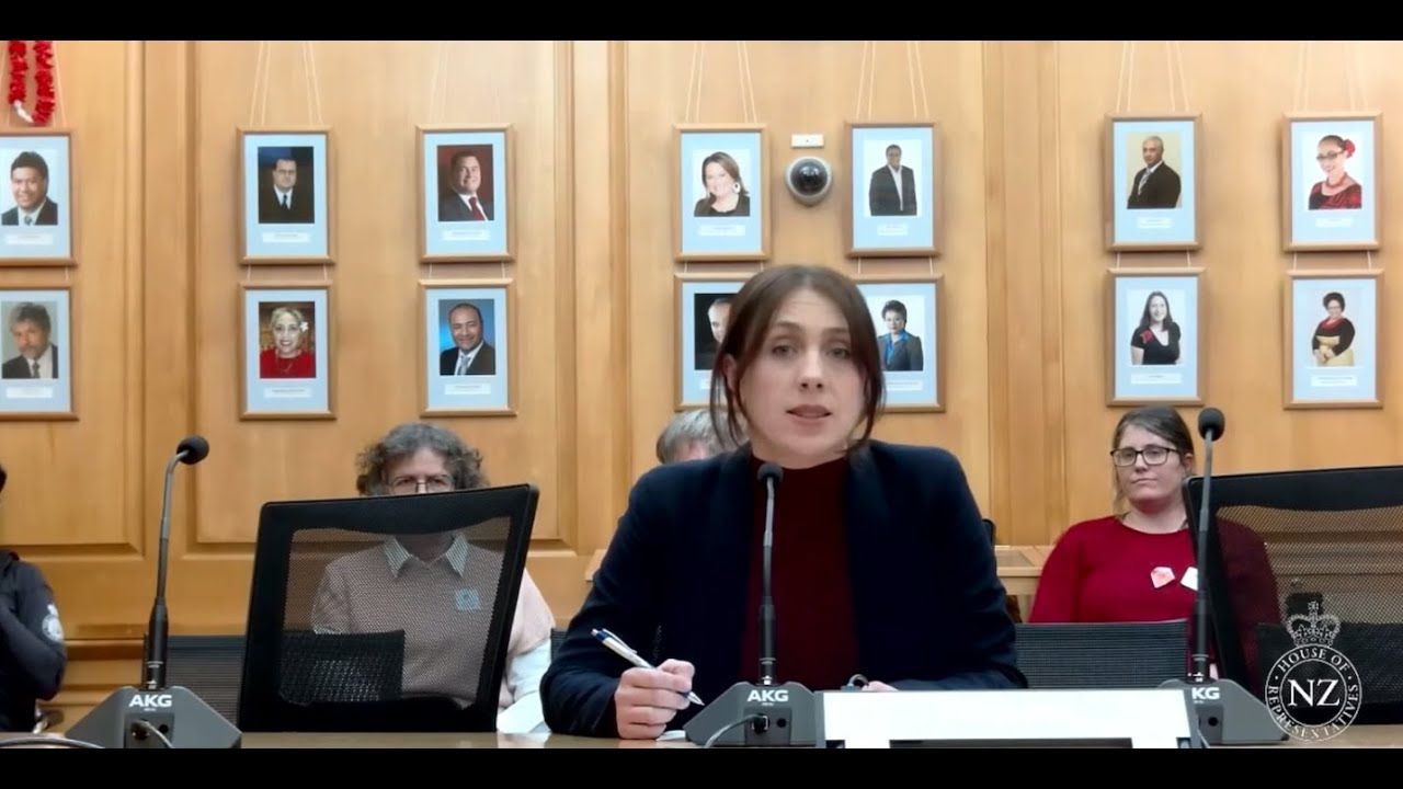 Regulatory Standards Bill submission - Greenpeace