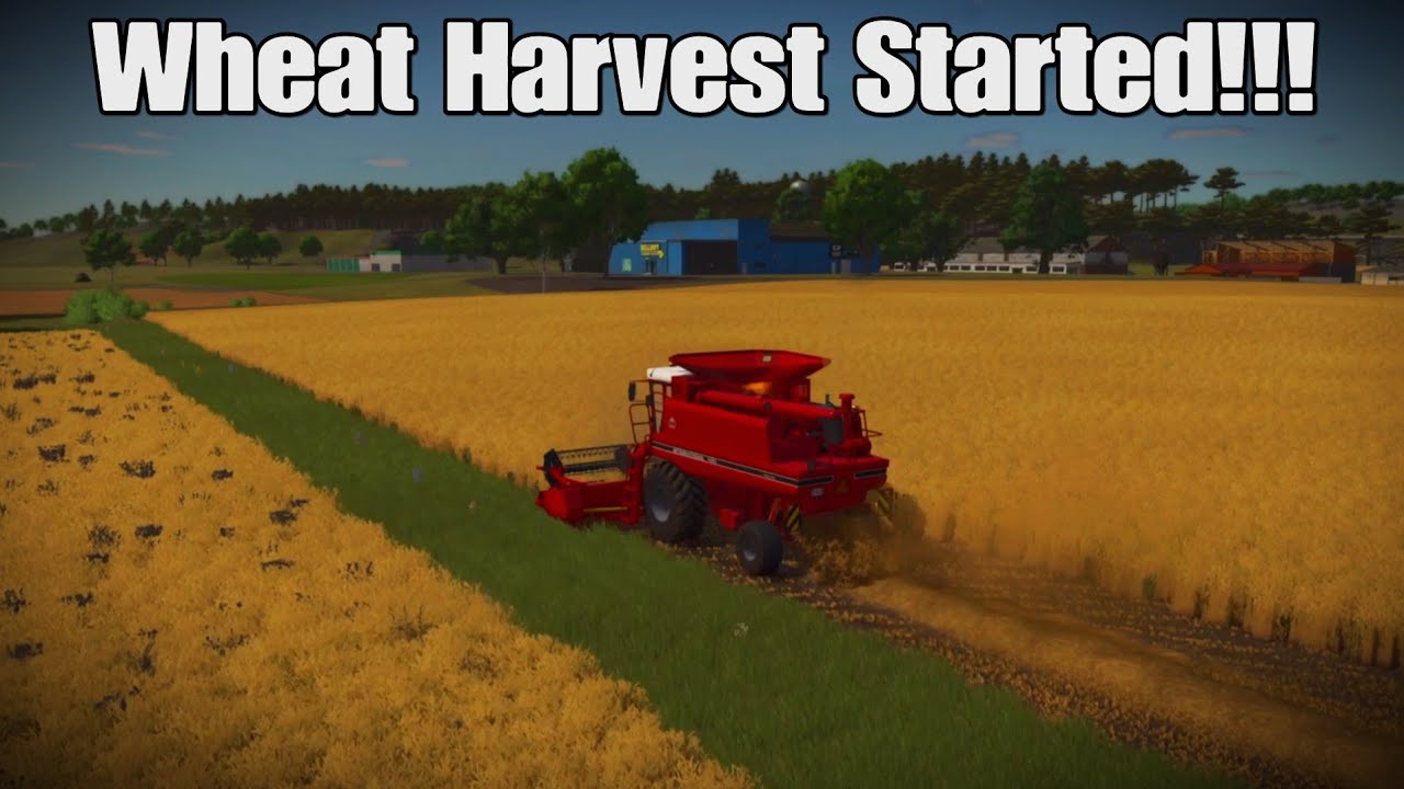 Lagoon Dry Andalusia 2.0: Episode #2. Wheat Harvest Started + Buying & Feeding Chickens!!! FS25 PS5