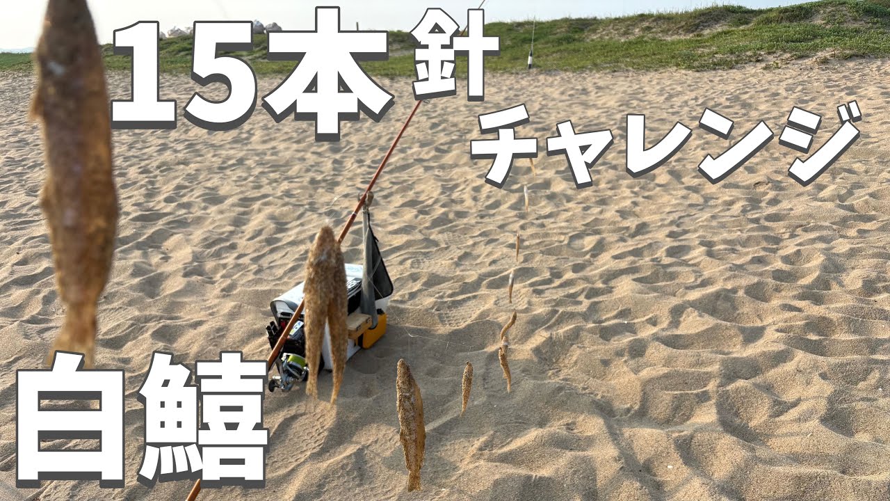 久々に怒涛の連掛け！これも鱚キスの投げ釣りの醍醐味！