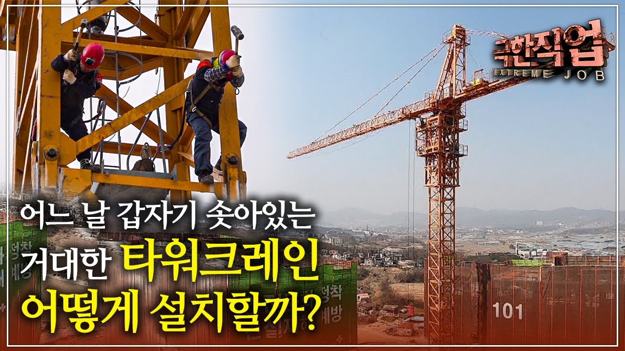 어제는 없었는데 오늘은 솟아있는 거대한 철골 구조물 '타워크레인' 어떻게 설치할까?│타워크레인 설치반│극한직업│#골라듄다큐