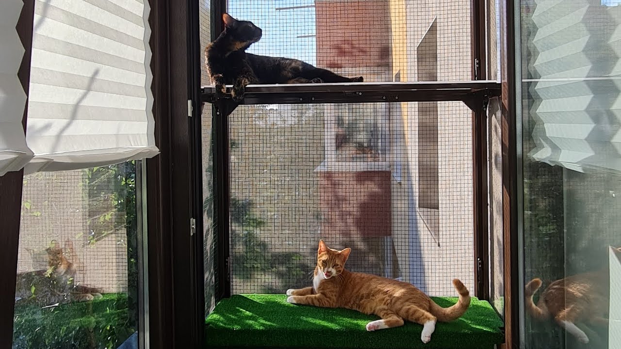 Apartment terrace for cats DIY homemade using #parkside tools