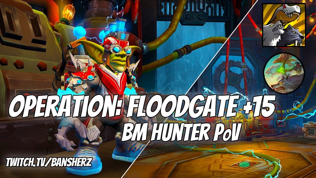 +15 Operation Floodgate BM Hunter PoV