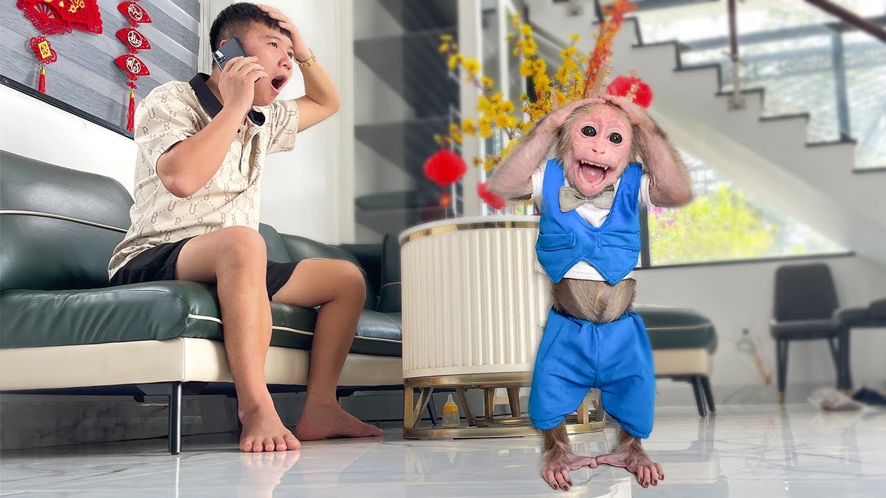 Cubis Monkey's Emotional Moment Auntie Can't Come Back
