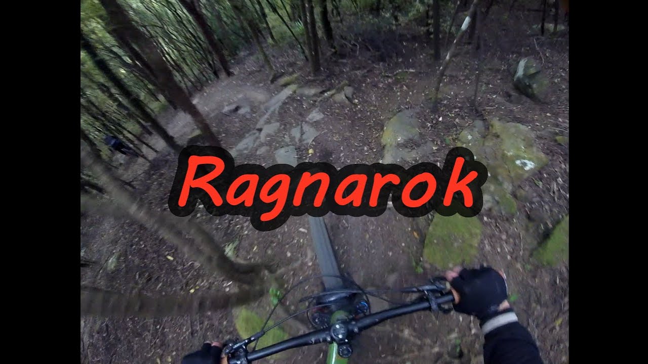 Ginger Cougar to Ragnarok