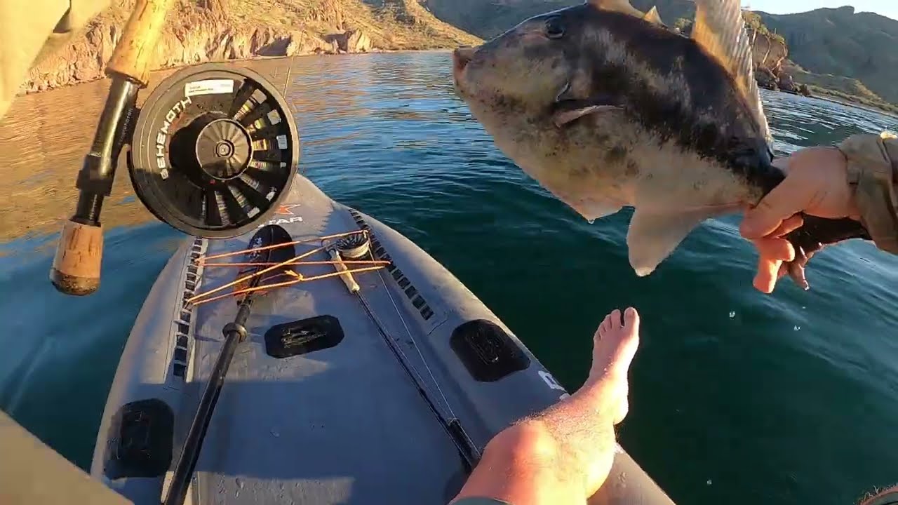 Triggerfish from the Kayak | Fly Fishing Baja, Mexico