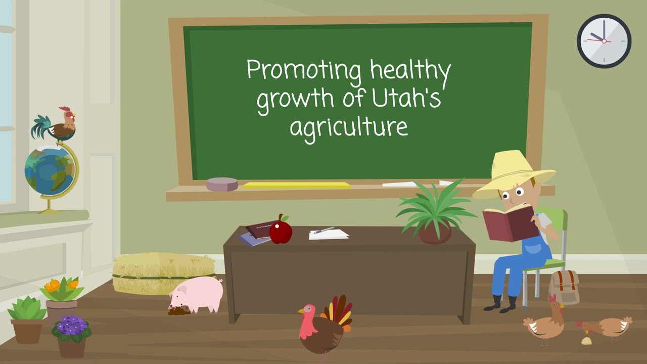 UDAF Gets Animated:  About our Department