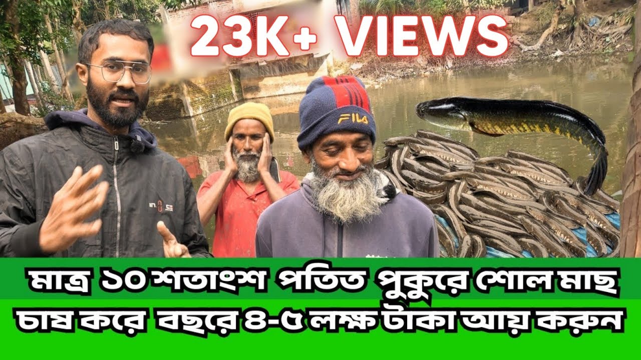 শোল মাছ চাষের জনক জাকির কাকার ১০ শতাংশ একটি পুকুরের ১ বছরের আয় ব্যায় হিসাব ||  আলী শাকিল ||