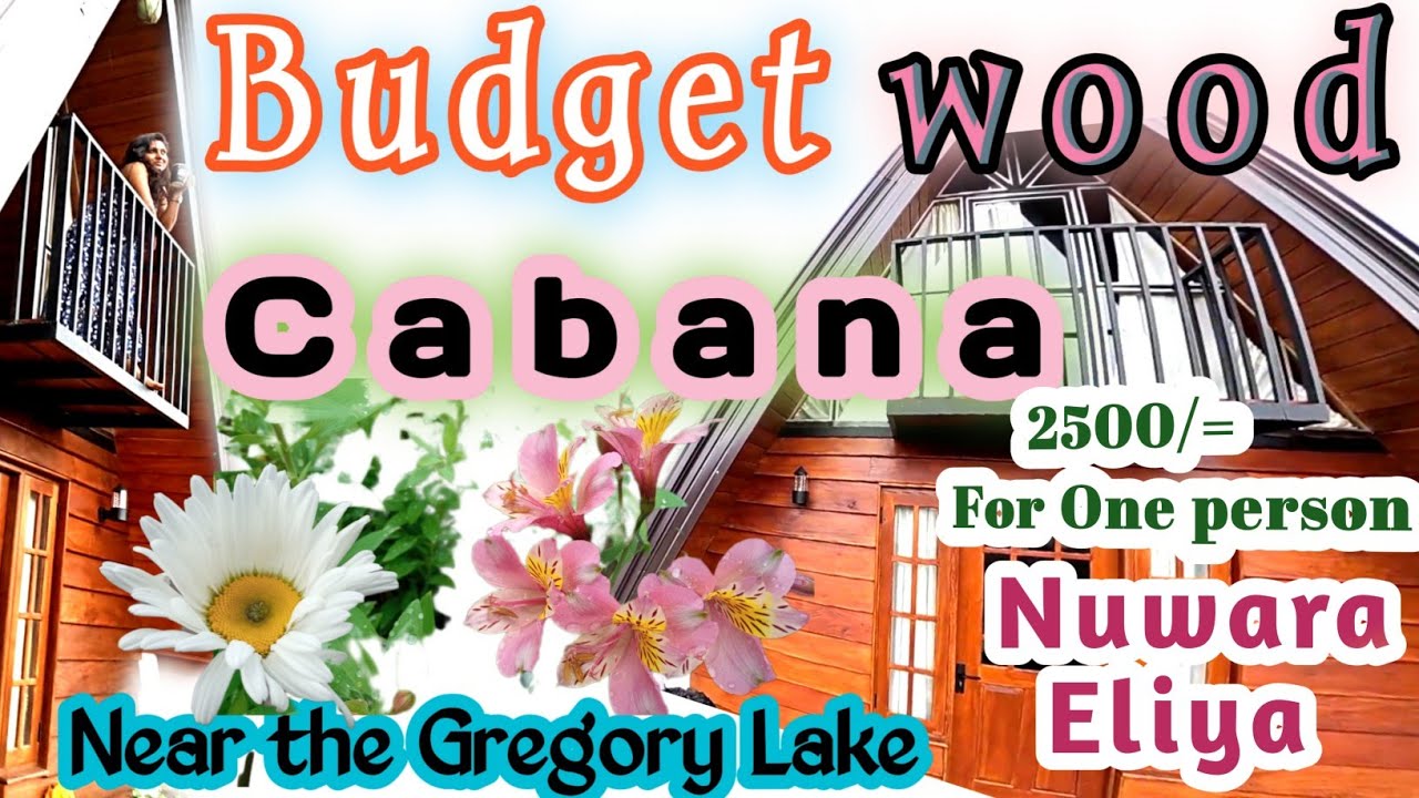 Nuwara Eliye Budget Cabana💒❤Beautiful wood cabana near the Gregory Lake🗻🥰#Srilanka