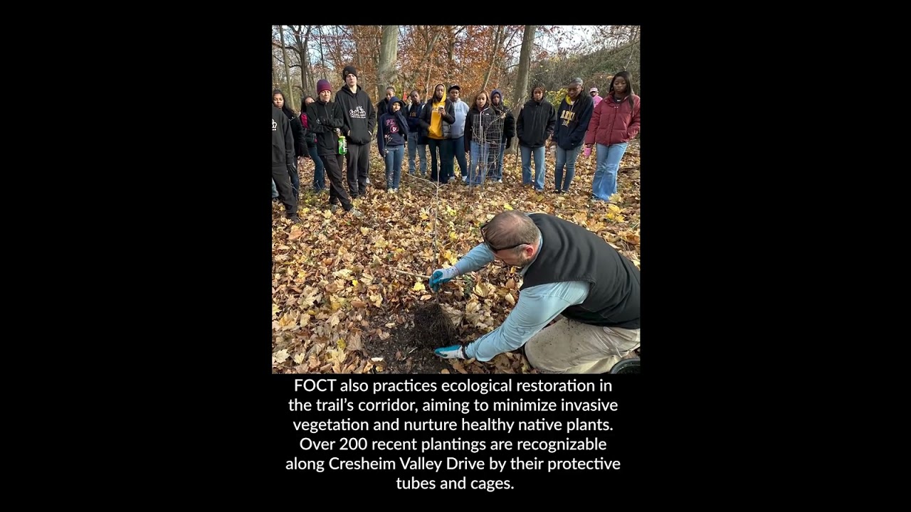 Friends of Cresheim Trail: Past, Present, and Future | Night of Lights 2025
