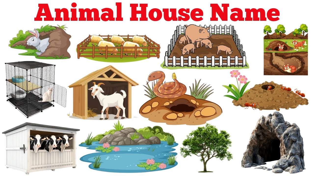 Animal House Names | Animals Homes Name in English & Hindi | Kids Learning Videoanimal house name u