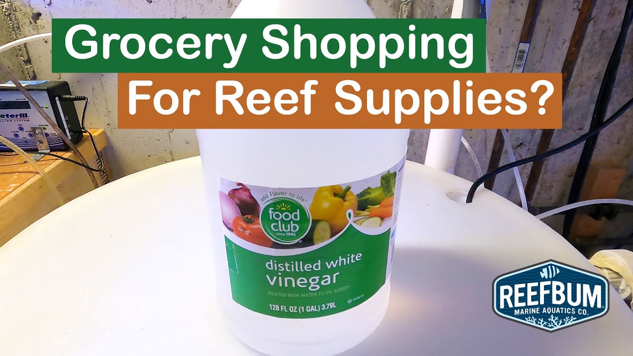 Top 10 Handy Household Items For a Reef Tank