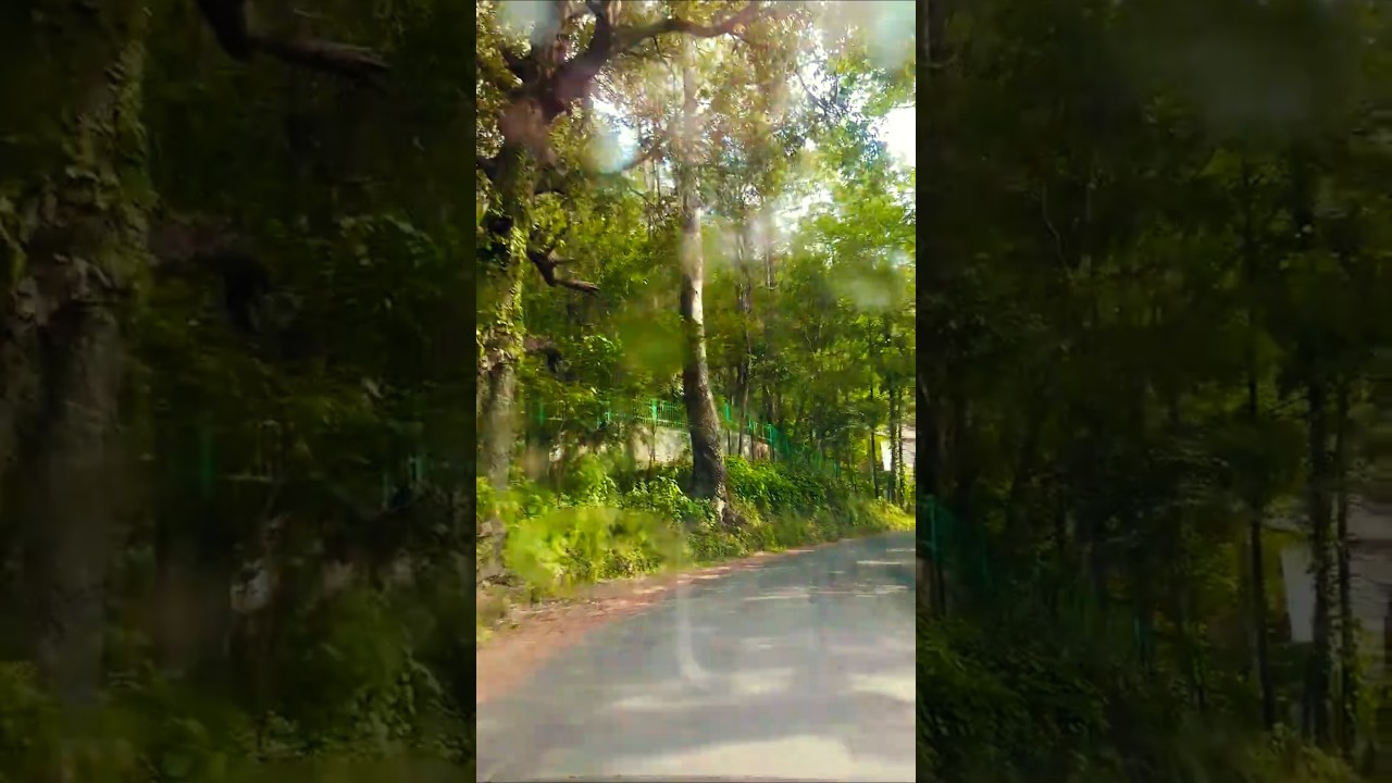 रिम-झिम सावन की बूंदे 💧💧#naturevibes  #monsoon #rain #uttarakhand #travel #short #song