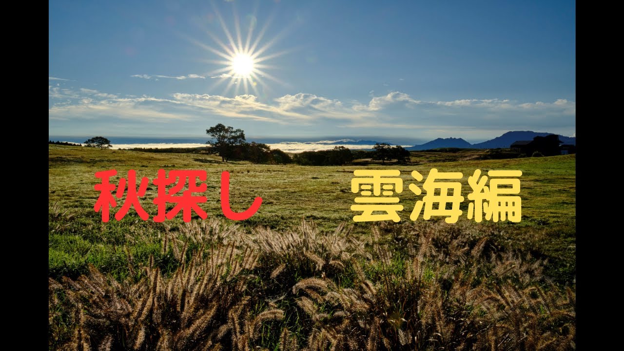 【軽キャン車中泊】秋探し　雲海編